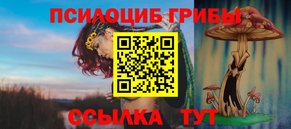 Галлюциногенные грибы прущие грибы Кувандык