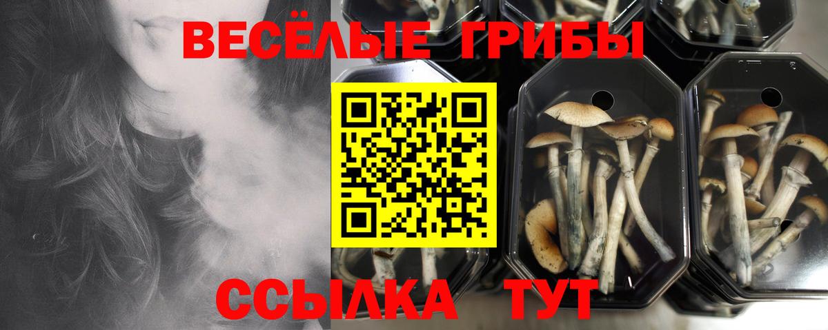 Кувандык  Галлюциногенные грибы мухоморы  Вход с VPN 